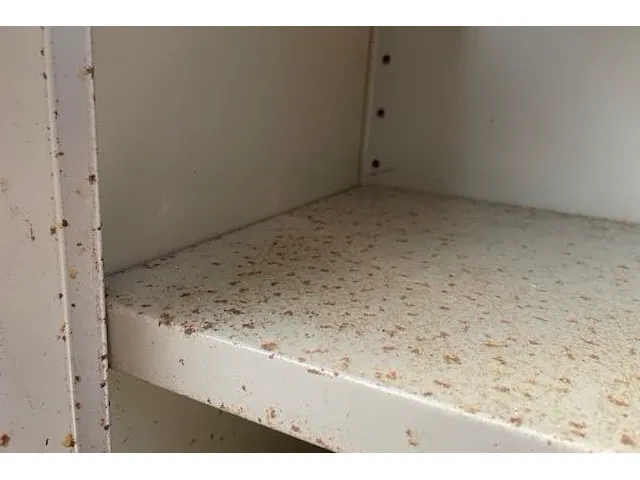 Kast - afbeelding 3 van  5