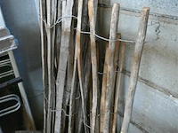 Kastanjehek - afbeelding 1 van  4