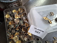 Kastbeslag - afbeelding 3 van  3