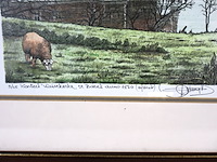 Kasteel wissekerke - afbeelding 3 van  5