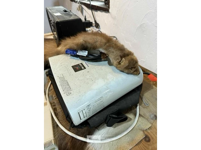 Kastje met diverse toestellen - afbeelding 5 van  5