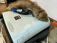 Kastje met diverse toestellen - afbeelding 5 van  5