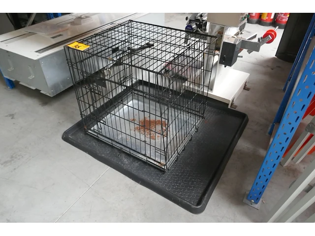 Katkennel - afbeelding 1 van  3