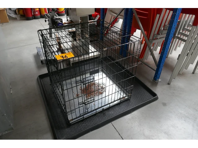 Katkennel - afbeelding 2 van  3