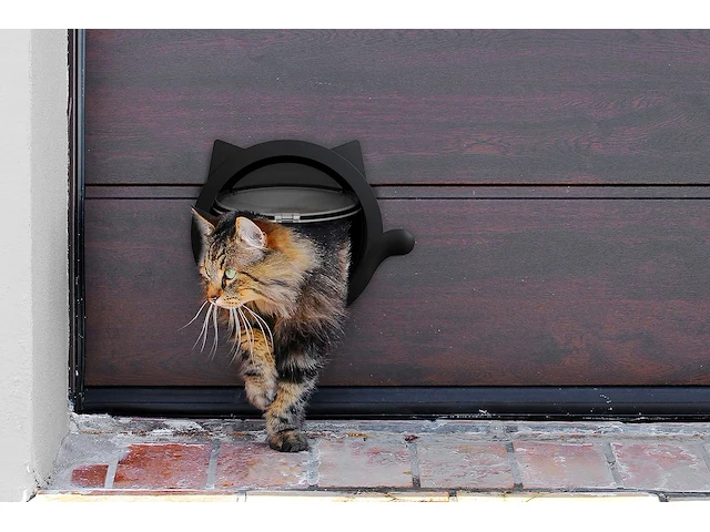 Kattenklep - 4 way - wit - afbeelding 6 van  6