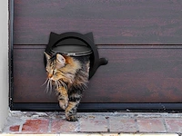 Kattenklep - 4 way - wit - afbeelding 6 van  6