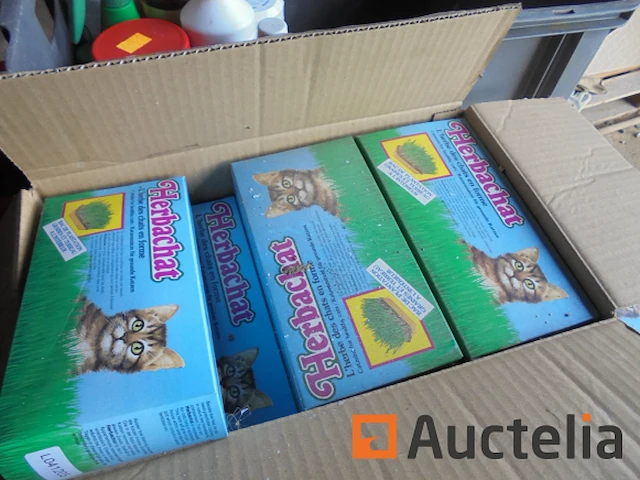 Kattenkruid - afbeelding 4 van  4