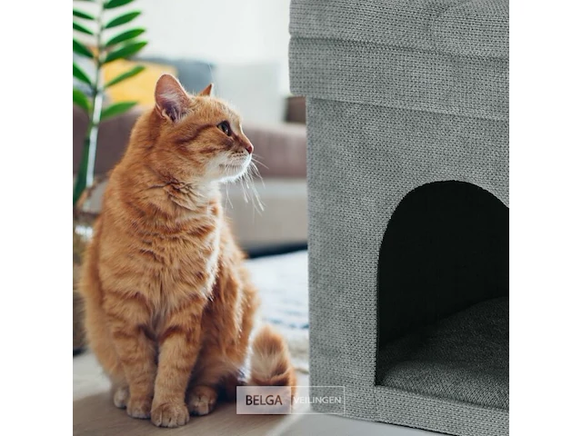Kattenmand poef - afbeelding 3 van  7