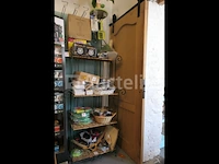 Kattentuigje, kleding, speelgoed, krabpaal,... - afbeelding 4 van  8