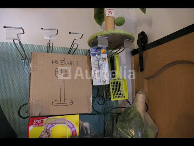 Kattentuigje, kleding, speelgoed, krabpaal,... - afbeelding 7 van  8
