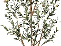 Kazeila kunstmatige olijfboom (180 cm) - afbeelding 1 van  3