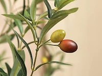 Kazeila kunstolijfboom ( 2 stuks) - afbeelding 2 van  4