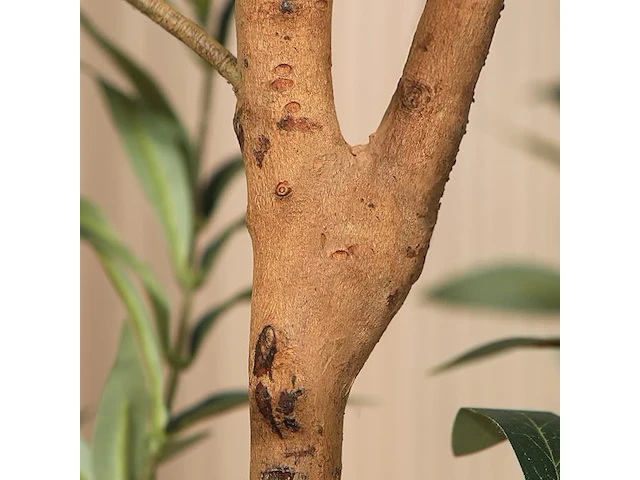 Kazeila kunstolijfboom ( 2 stuks) - afbeelding 3 van  4