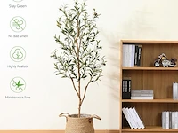 Kazeila kunstolijfboom ( 2 stuks) - afbeelding 4 van  4