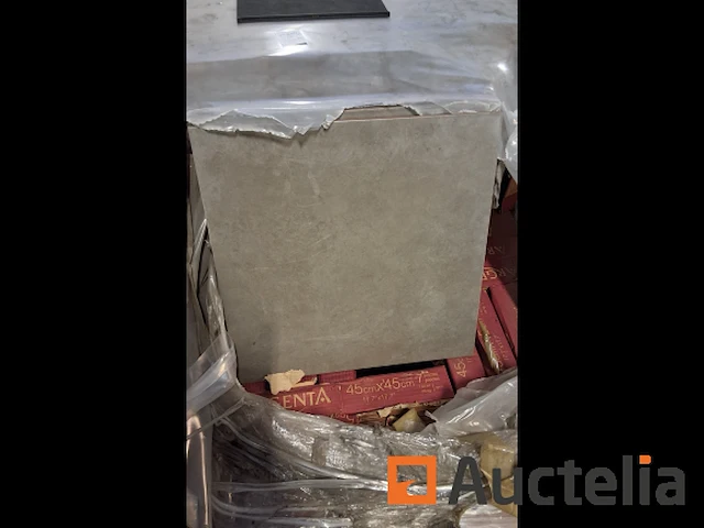 Keramische tegels 45 x 45 argenta 35 m2 - afbeelding 1 van  3