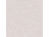 Keramische tuintegel 42,34m2 terre grigio 60x60cm gerectificeerd - afbeelding 1 van  1