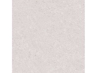 Keramische tuintegel 42,34m2 terre grigio 60x60cm gerectificeerd - afbeelding 1 van  1