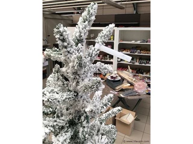 Kerstboom - afbeelding 3 van  3