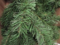 Kerstboom - afbeelding 2 van  2