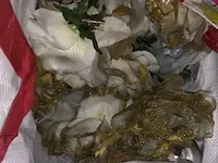 Kerstgerief - afbeelding 7 van  15