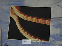 Kerstversiering 720 lampjes ±10m - afbeelding 3 van  3