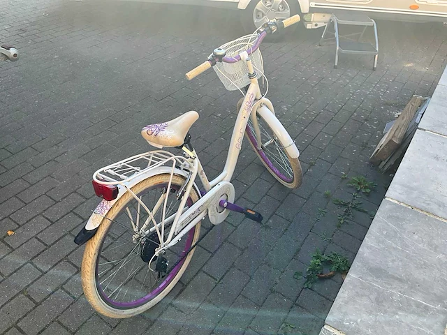 Kinderfiets model fleur - afbeelding 3 van  5