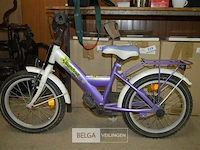 Kinderfiets sundvall