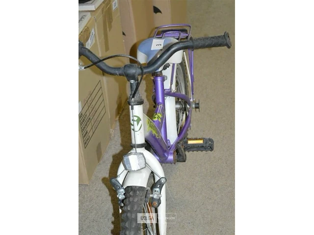 Kinderfiets sundvall - afbeelding 5 van  7