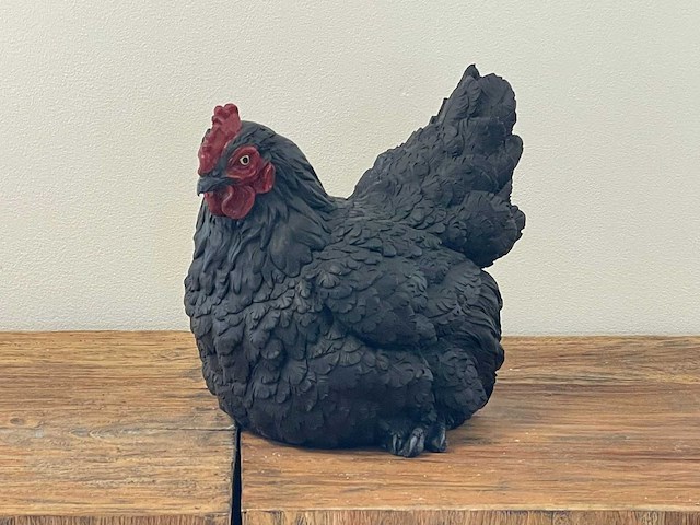 Kip liggend h22cm x l27cm zwart - afbeelding 1 van  1