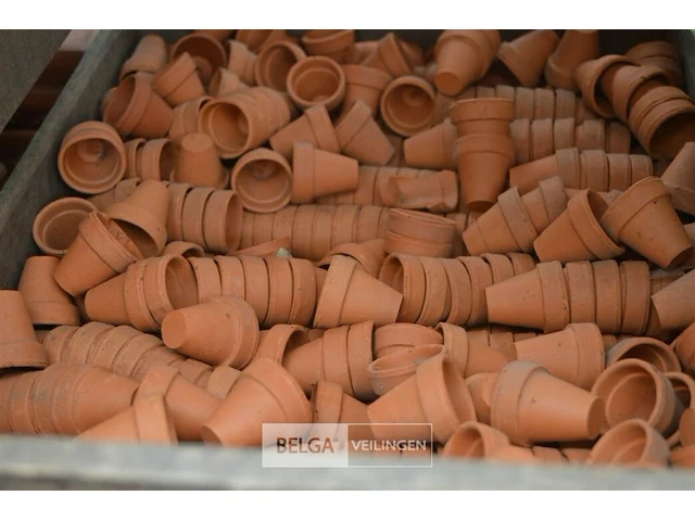 Kist met kleine terracotta potjes - afbeelding 2 van  3