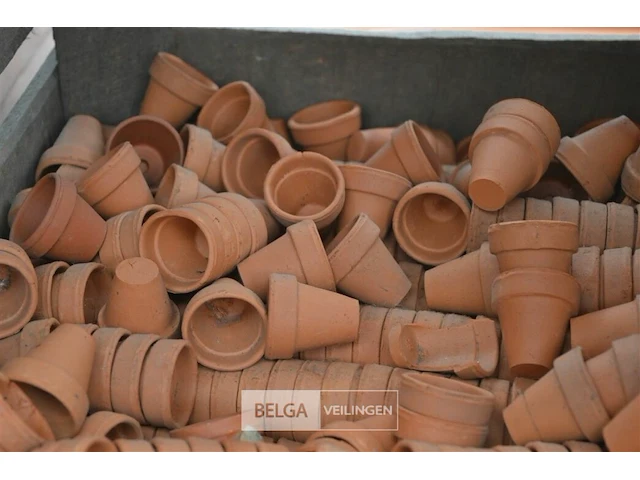 Kist met kleine terracotta potjes - afbeelding 3 van  3