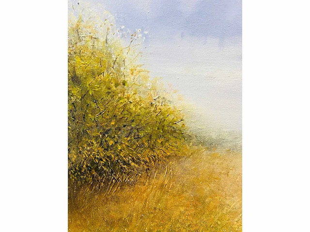 Klaas julsing - landschap met klaprozen - acryl op doek - afbeelding 8 van  13