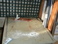 Kleine tafelzaag - afbeelding 1 van  3