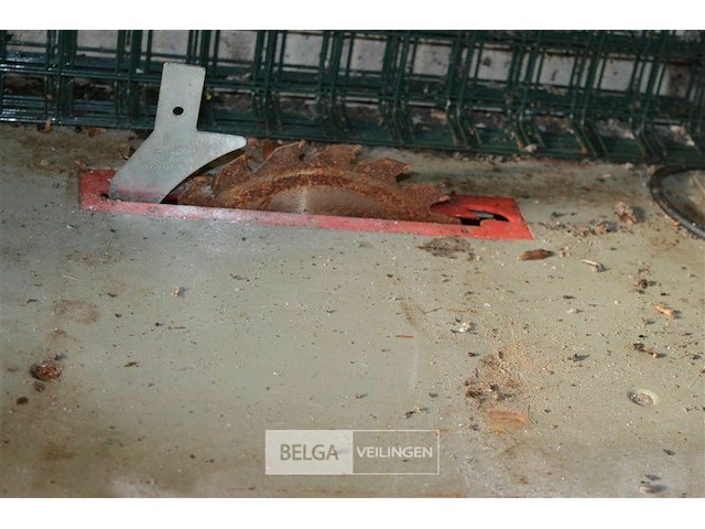 Kleine tafelzaag - afbeelding 2 van  3