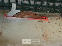 Kleine tafelzaag - afbeelding 2 van  3