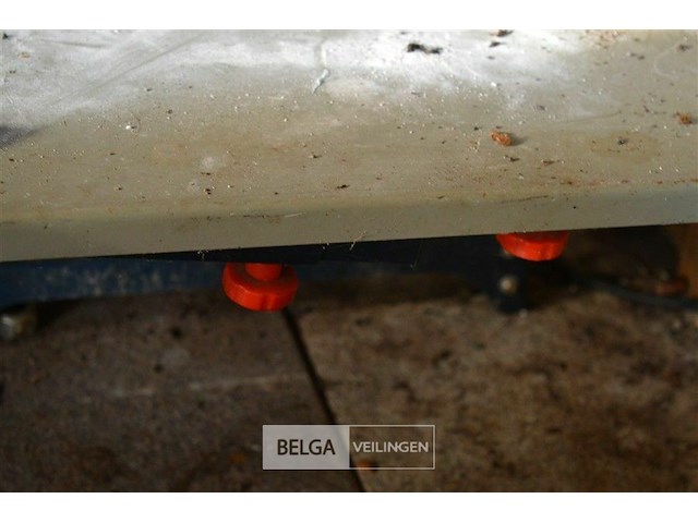 Kleine tafelzaag - afbeelding 3 van  3