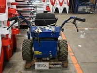 Klepelmaaier stella - afbeelding 4 van  9