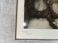 Kleurenets van julien van santen - afbeelding 2 van  3