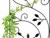 Klimplantenrek - afbeelding 2 van  7