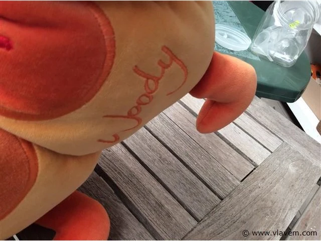 Knuffel woody - afbeelding 3 van  3