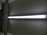 Koelcel met 2 deuren (negatief) - afbeelding 7 van  14