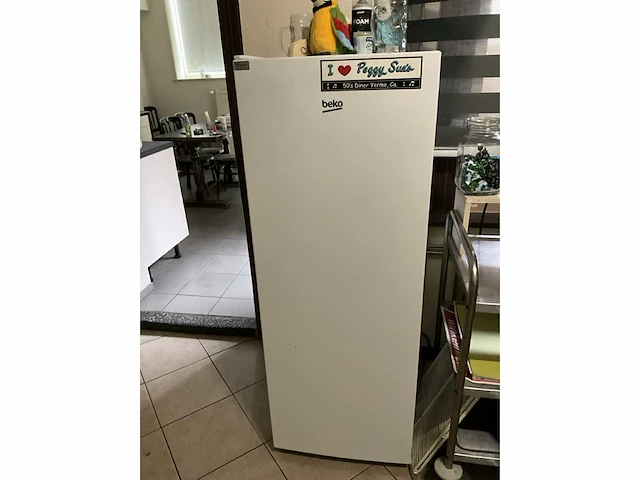 Koelkast beko rsse265 - afbeelding 2 van  4