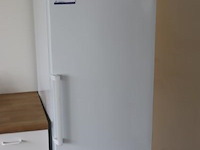 Koelkast bosch - afbeelding 1 van  2