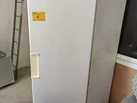 Koelkast olitrem - afbeelding 4 van  4