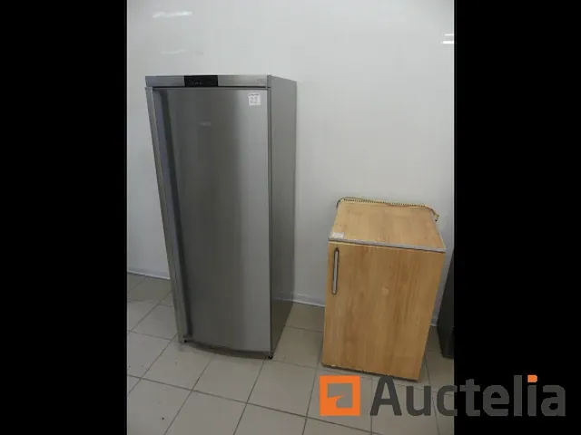 Koelkasten - afbeelding 6 van  9