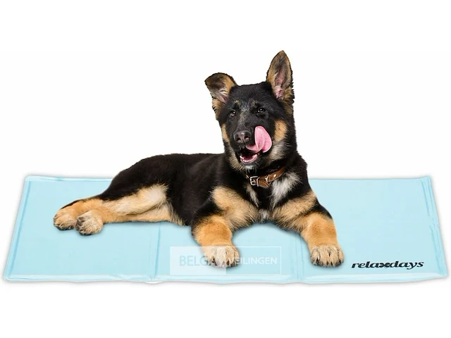 Koelmat hond - afbeelding 1 van  7