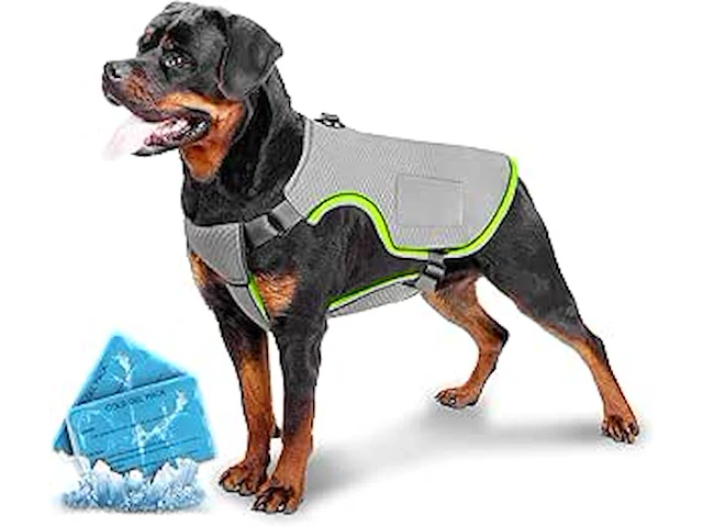 Koelvest voor honden (xxl) - afbeelding 1 van  4