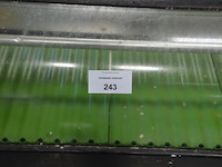 Koelvitrine hoshizaki tafelmodel - afbeelding 1 van  4