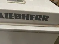 Kofferdiepvries liebherr - afbeelding 2 van  4