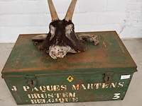 Koloniale bak gevuld met hoorns - afbeelding 4 van  4